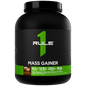 Rule 1 Mass Gainer