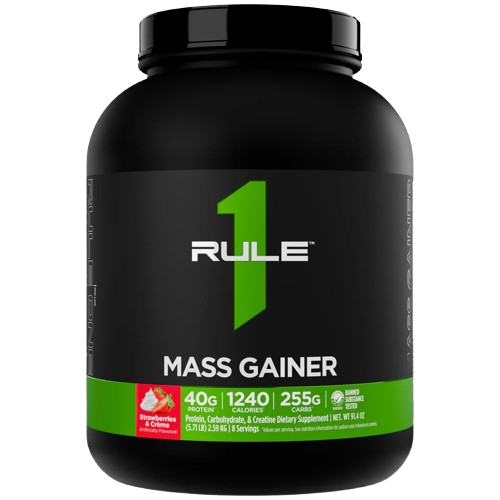 Rule 1 Mass Gainer